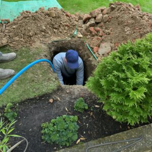 Moling services